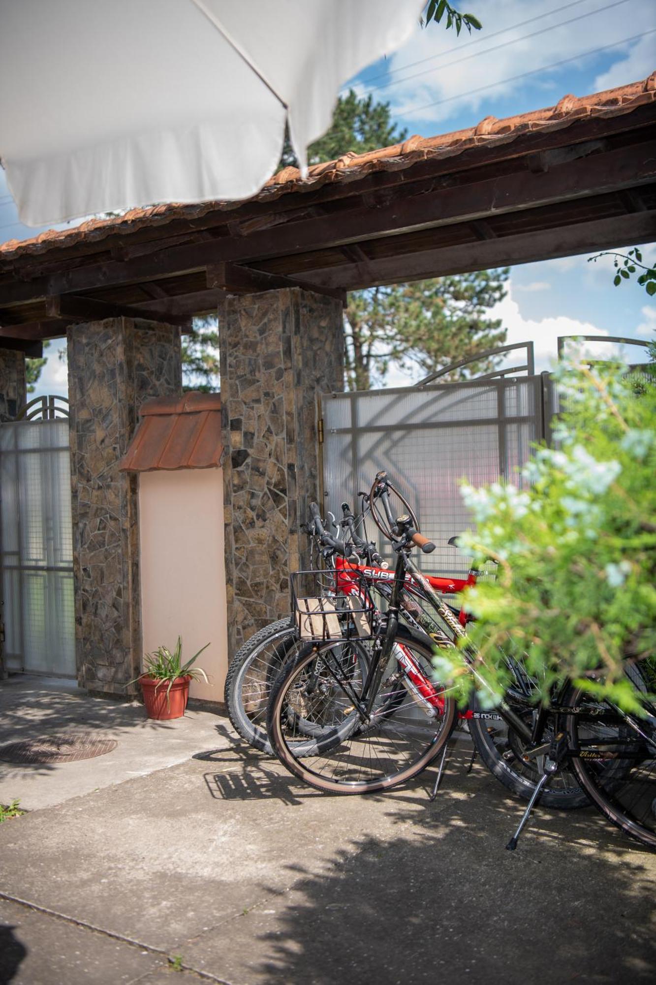 Guesthouse Kristina Palić Buitenkant foto